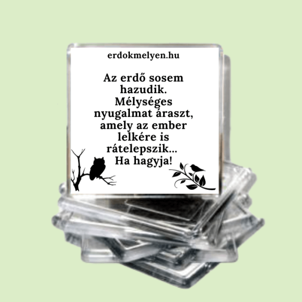 Hűtőmágnes 04 - Az erdő sosem